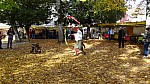 DSC01179.jpg