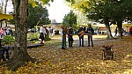 DSC01186.jpg