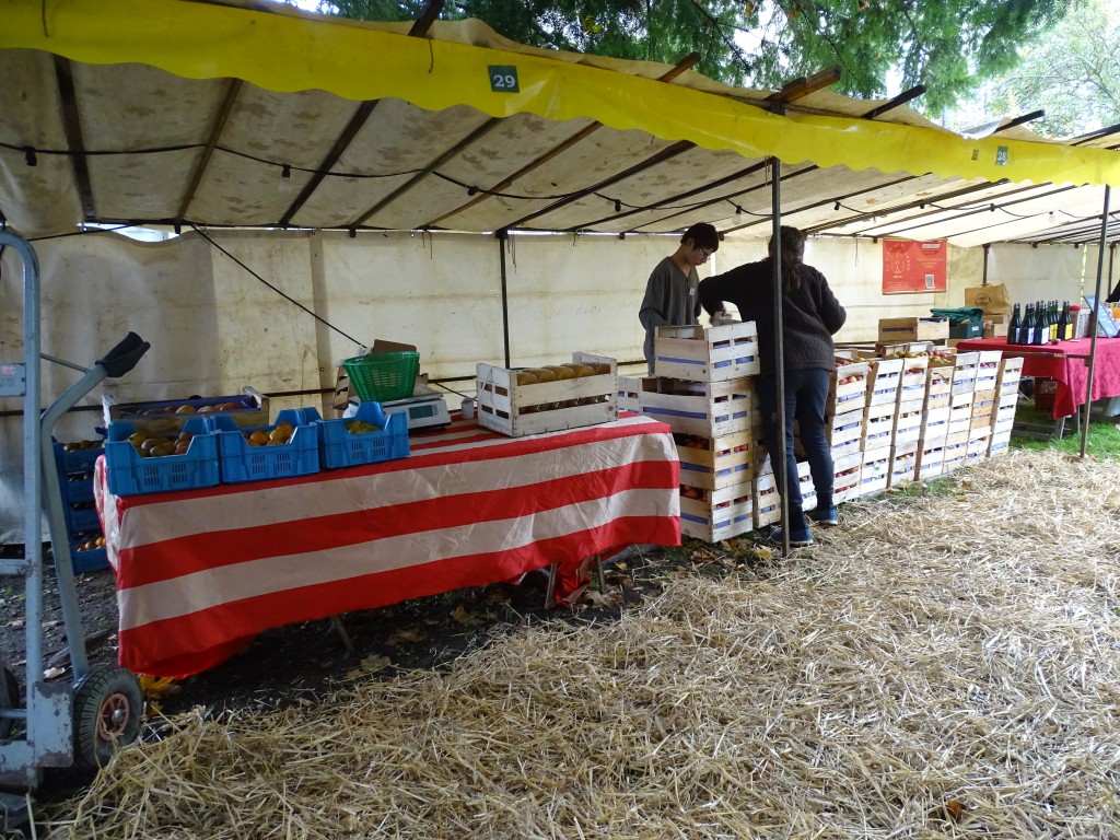 JDP_2024_17.jpg