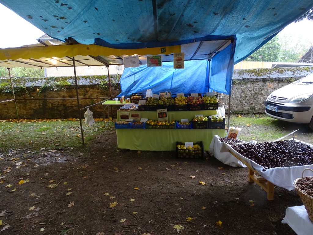 DSC04950.jpg
