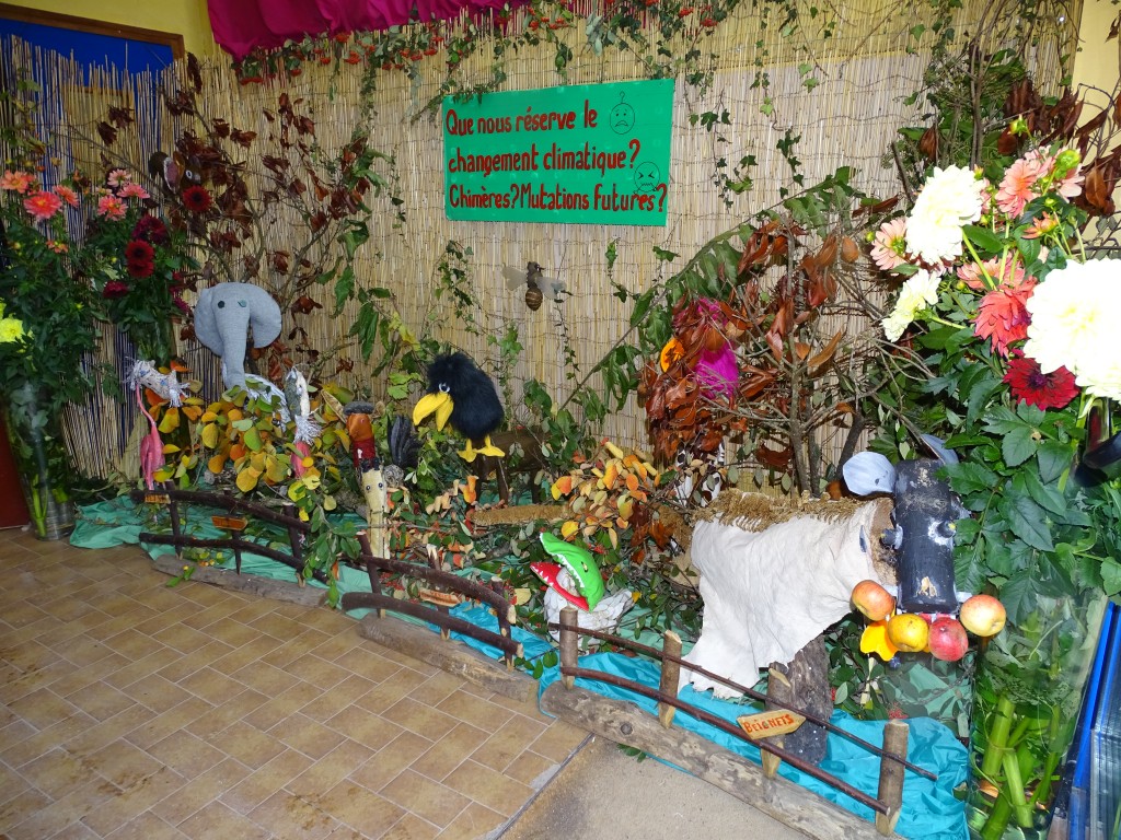 DSC04957.jpg