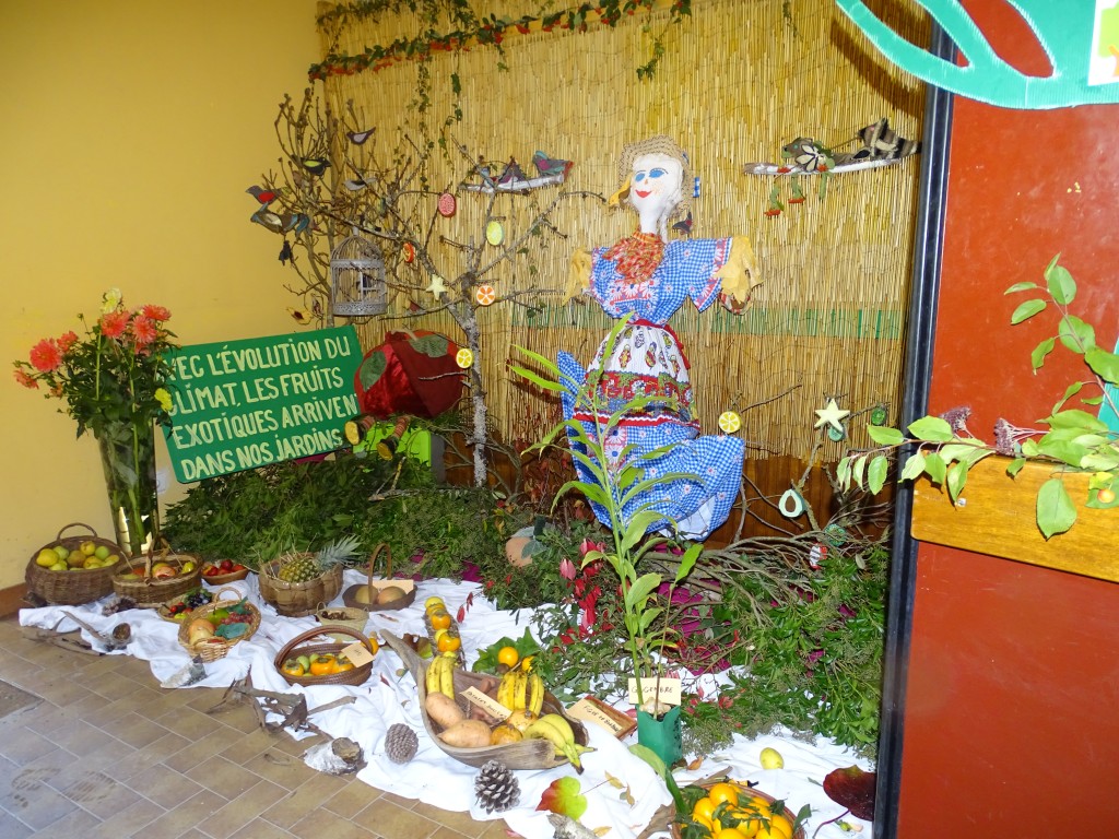 DSC04958.jpg