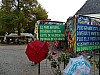 DSC04926.jpg