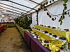 DSC04933.jpg