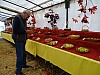 DSC04937.jpg