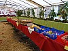 DSC04939.jpg