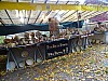 DSC04944.jpg