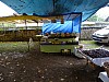 DSC04950.jpg