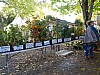 DSC04995.jpg