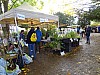DSC04996.jpg