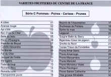 po02.jpg (239065 octets)