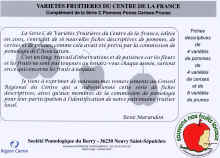 po03.jpg (213363 octets)