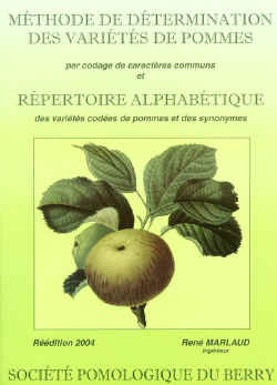 pomme_recto.jpg (72758 octets)