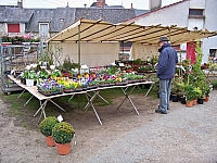 jour_vege_35.jpg