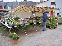 jour_vege_36.jpg