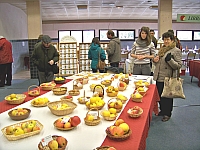 jour_vege_49.jpg