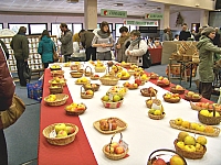 jour_vege_51.jpg
