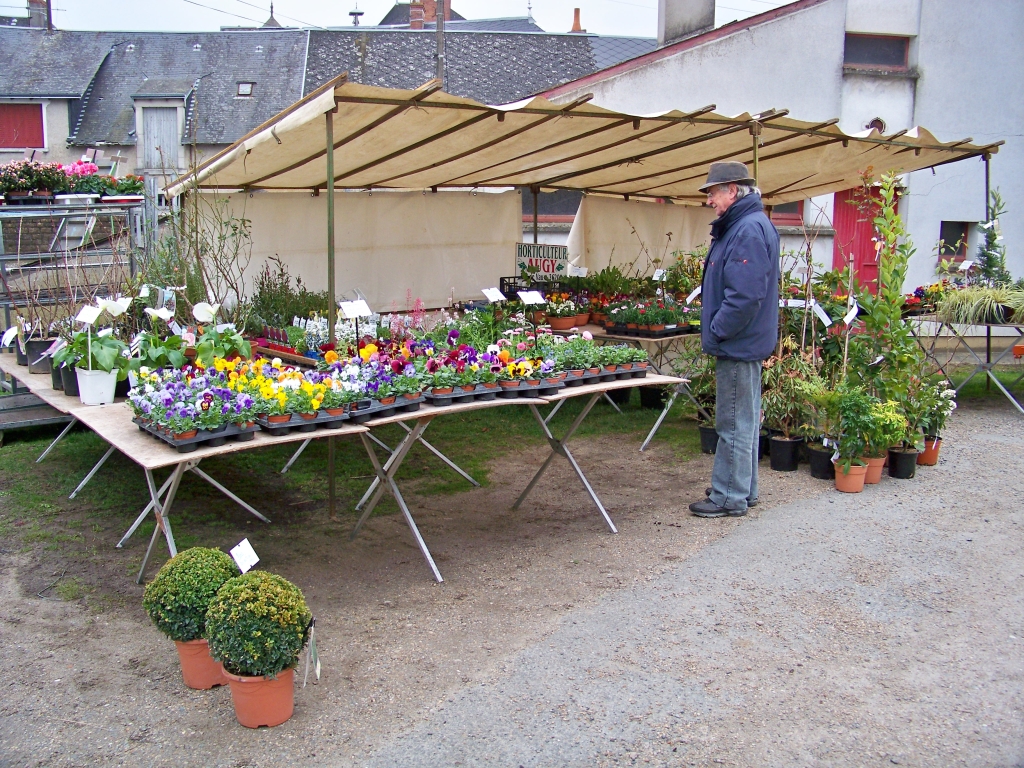 jour_vege_36.jpg