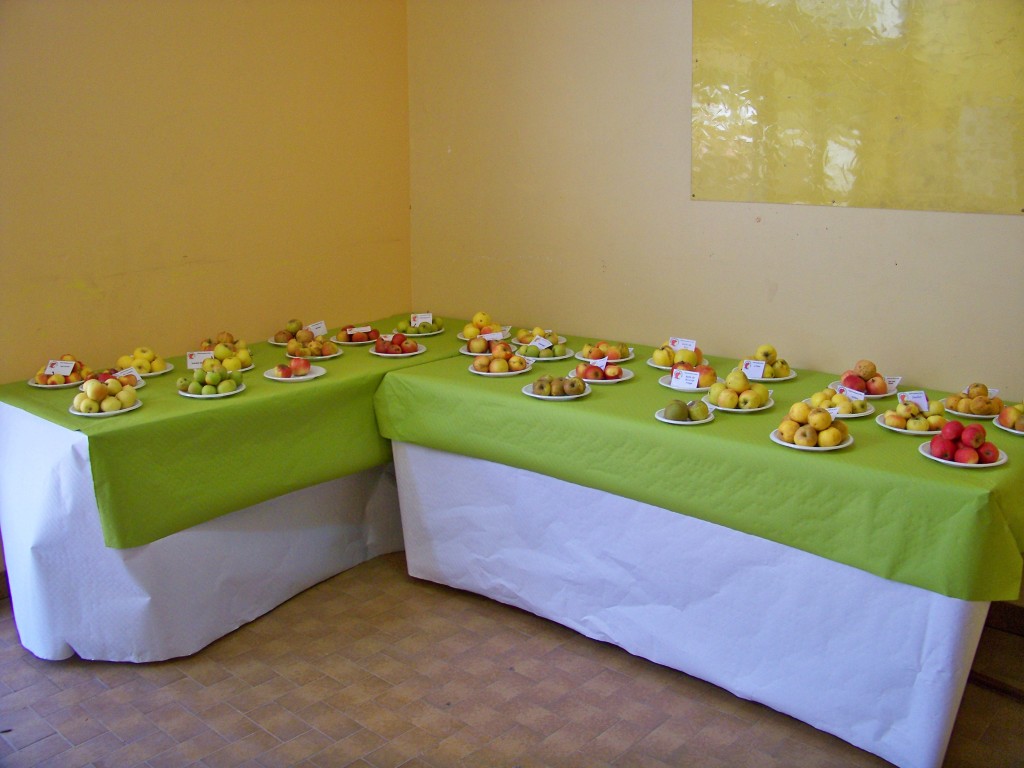 100_8035.jpg