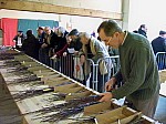 100_7993.jpg