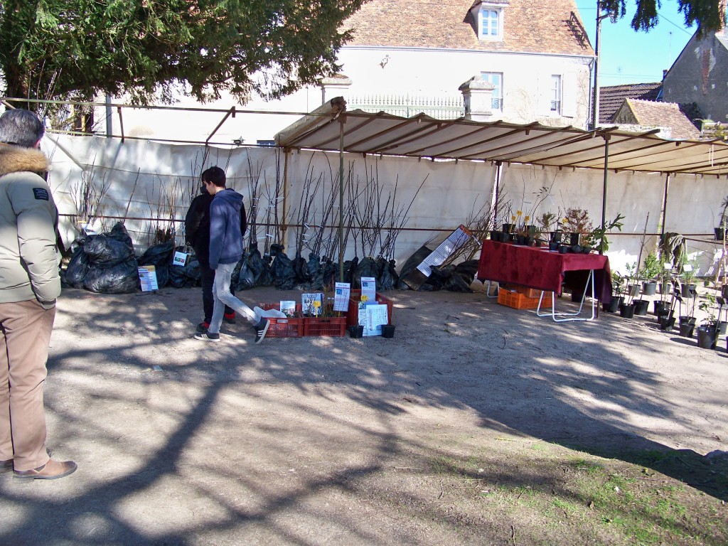 100_9524.jpg
