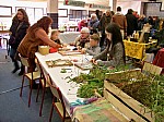 100_9555.jpg