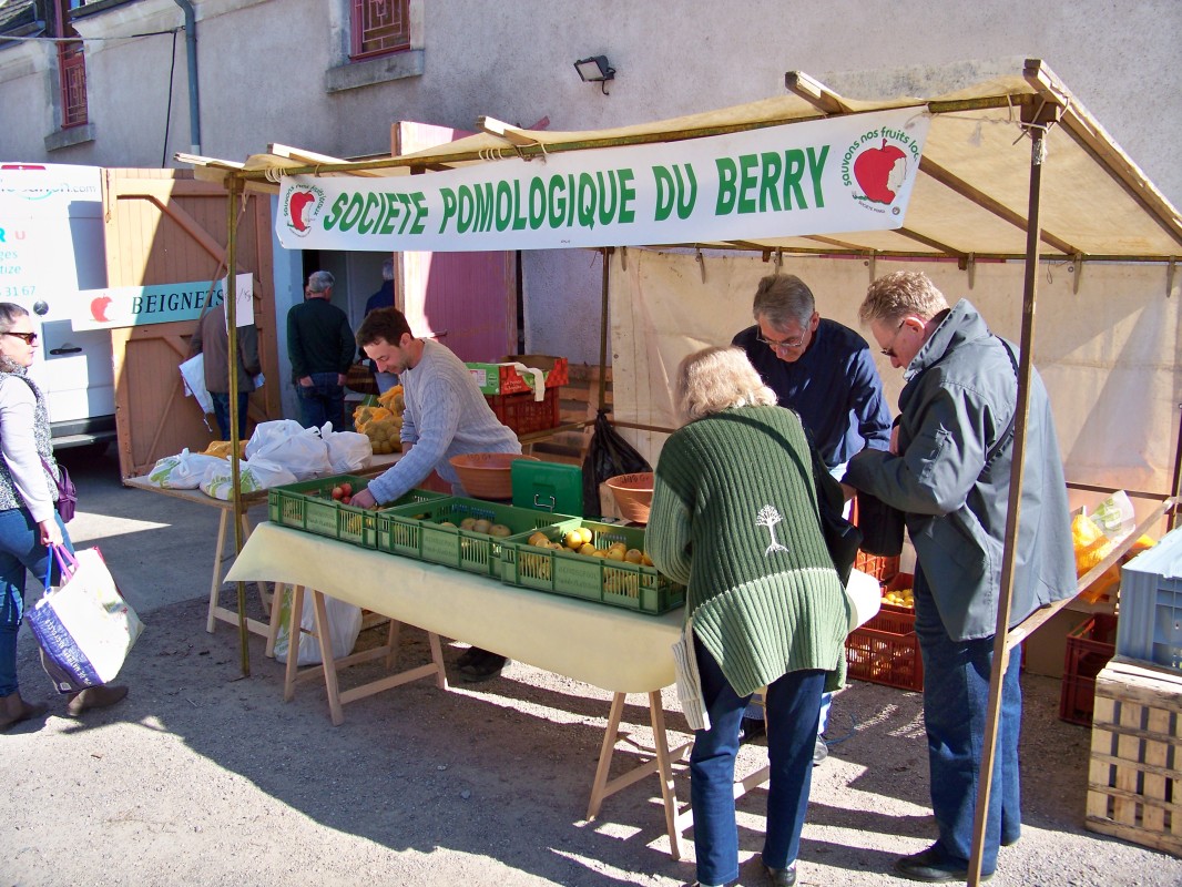 100_9714.jpg