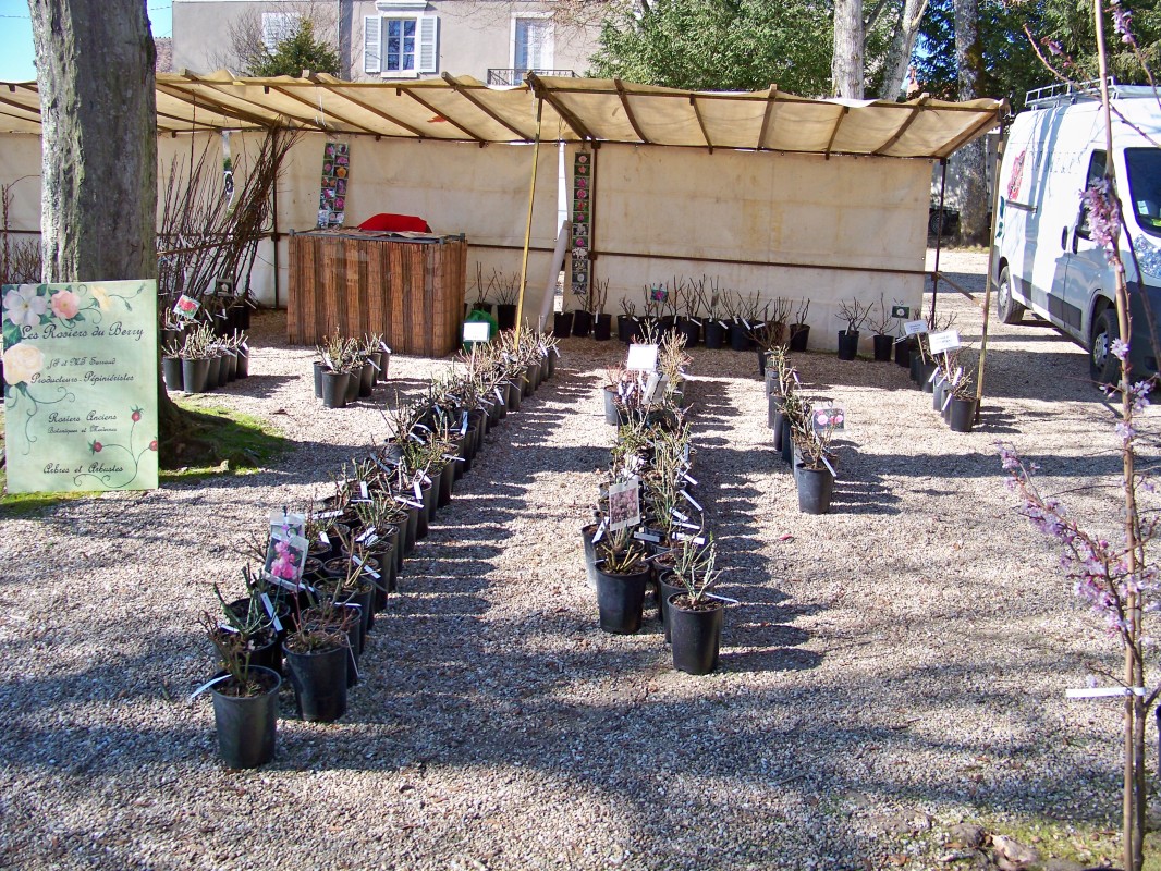 100_9724.jpg