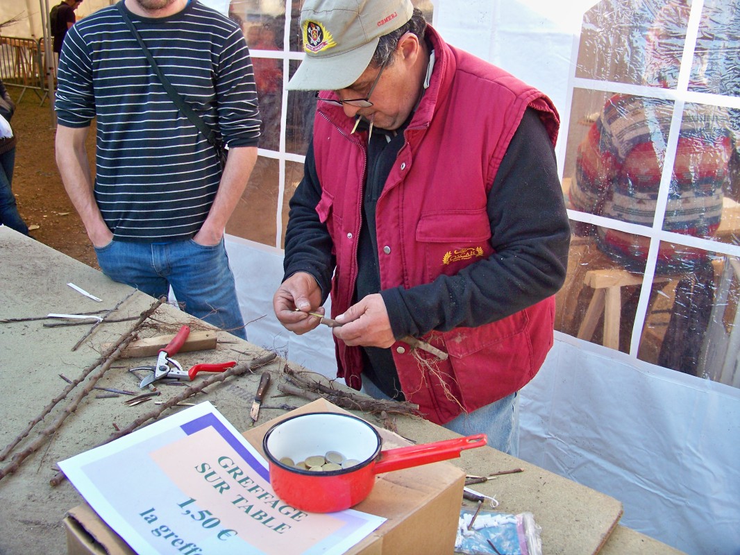 100_9773.jpg