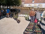 100_9719.jpg