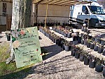 100_9725.jpg