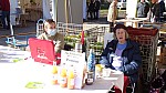 DSC01355.jpg