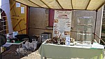 DSC01357.jpg