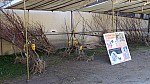 DSC01370.jpg