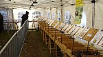 DSC01378.jpg