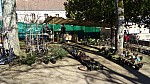 DSC01389.jpg