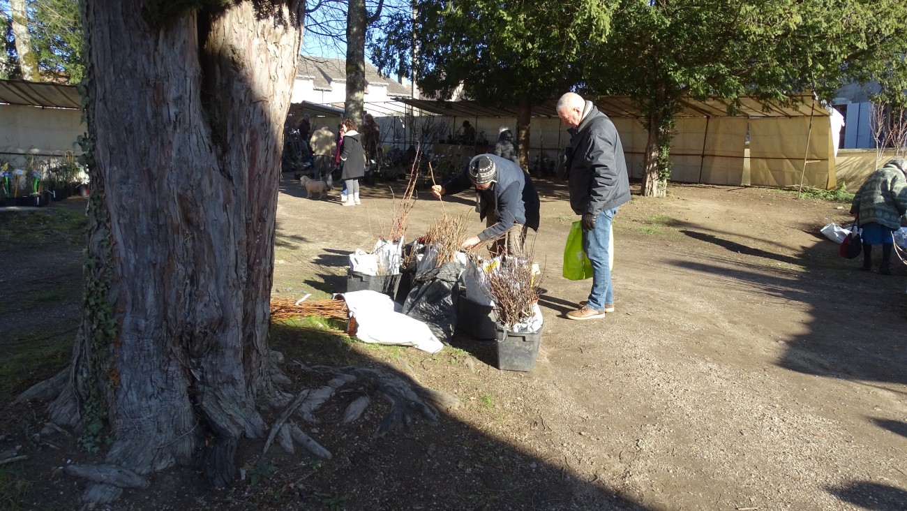 DSC02270.jpg