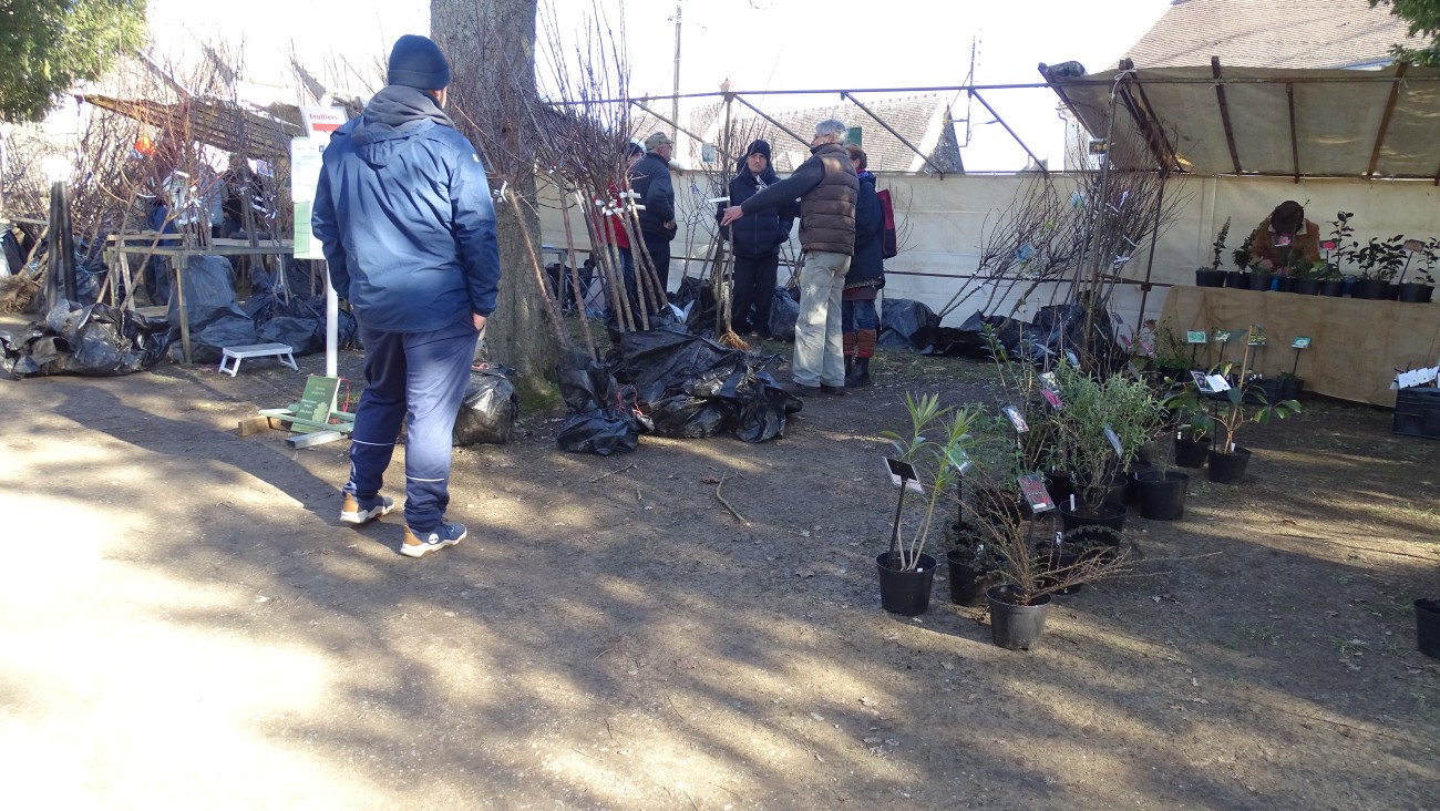 DSC02279.jpg