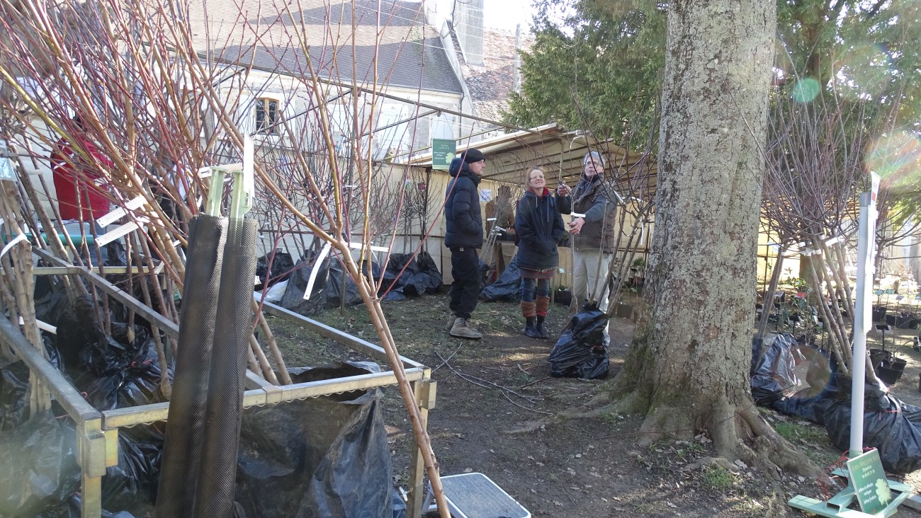 DSC02284.jpg