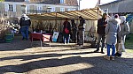 DSC02268.jpg
