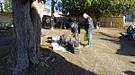 DSC02270.jpg