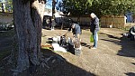 DSC02271.jpg