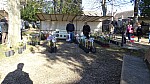 DSC02272.jpg