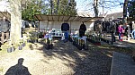 DSC02273.jpg