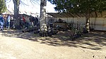 DSC02277.jpg