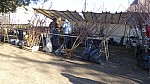 DSC02281.jpg