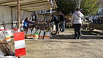 DSC02285.jpg