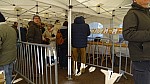 DSC02287.jpg