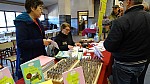 DSC02295.jpg