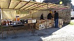 DSC02318.jpg